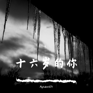 十六岁的你