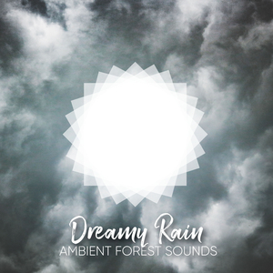 4 Minute Loopable Heavy Rain