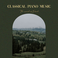 钢琴曲代表作品 睡眠白噪音 森林的声音
