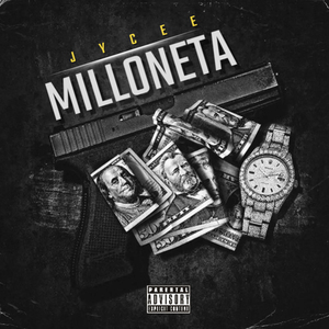 Milloneta