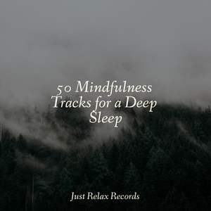 Echoes of Our Rescue