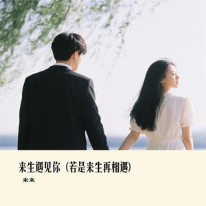 来生遇见你