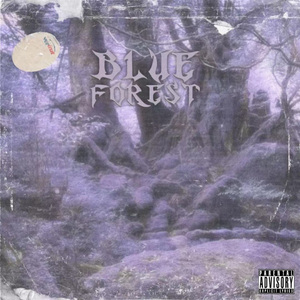 蓝色森林/blve forest(Prod.Roccky&BirdS)