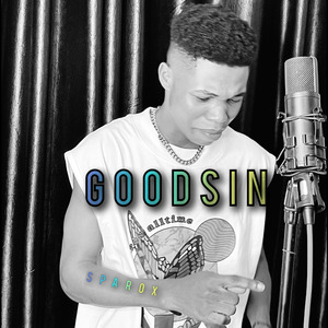 Goodsin (Cover)