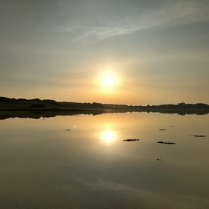 In the Dark, We´ll Rise