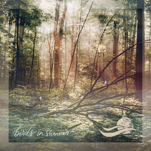 Birds on a Windy Day (loopable) at Manitoulin Island