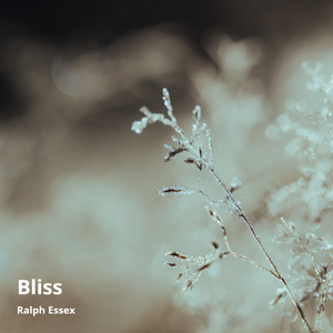 Bliss