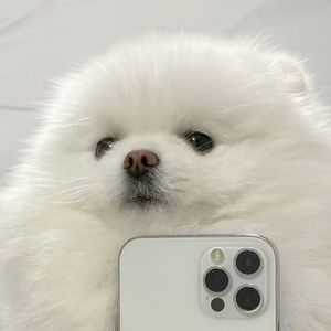 Jorja Smith X Preditah On My Mind（Iverson remix）