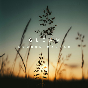 Gleam