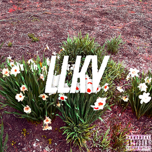 Llkv