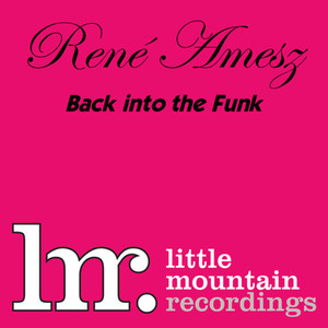 Back Into The Funk (Original)