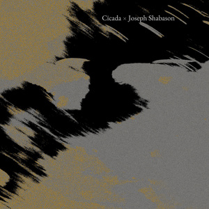 Where the Glacier Once Passed (Joseph Shabason Version)