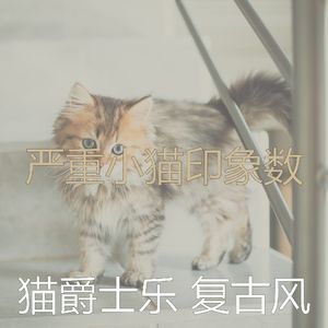 一尘不染小猫印象数