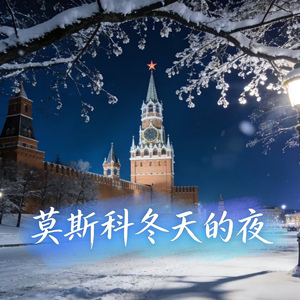 莫斯科冬天的夜