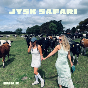 Jysk safari