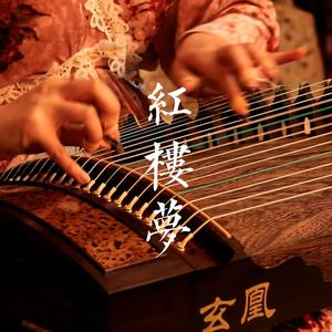 枉凝眉（古筝版）