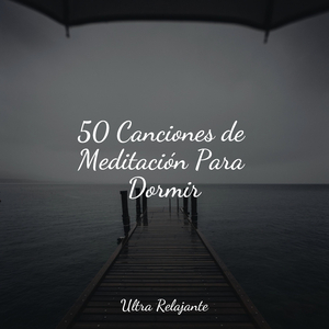 Gotas De Rocío En La Ventana