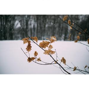 힘들 때, 내게 기대