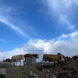 一程山路