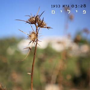 פילים