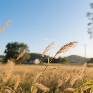 故乡的风来了又走 (恩恩 Remix)