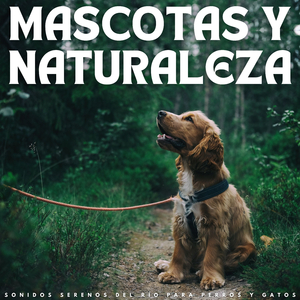 Golosinas
