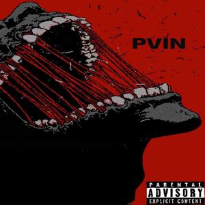 PVIN