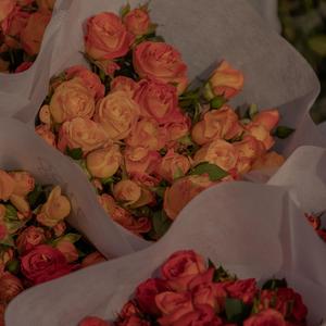 深夜阳台上，清风轻抚长发的你