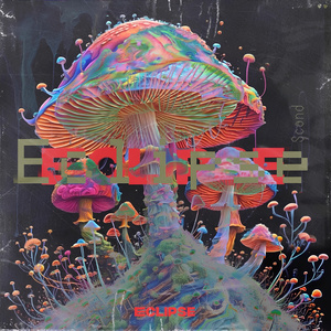 Eclipse (Downtempo Mushroom Mix)