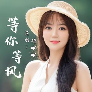 等你等风