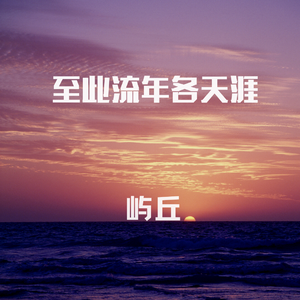 至此流年各天涯（翻自 我不理智）
