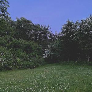 I Strayed Away, End this Curse