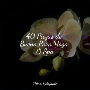 Lágrimas Felices Como Olas