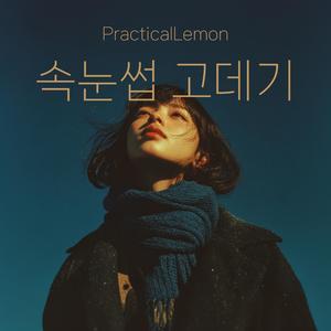 속눈썹 고데기 (Heated Eyelash Curler)