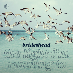 The Light I'm Running To