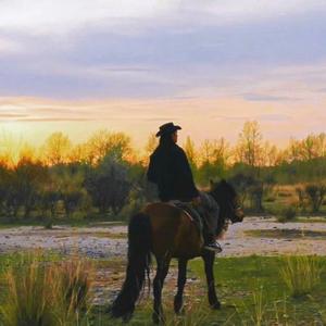 我的阿勒泰（完整版） 伴奏