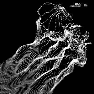 303 Talking (Original Mix)