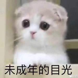 Can‘t Take My Eyes Off You（Cover：Frankie Valli）