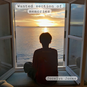 Wanted Section of Memories