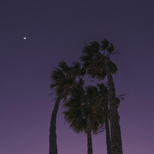 双鱼(藏在深海里)