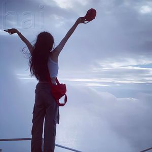 I Took A Pill In Ibiza降调立体环绕（随风散_r remix）