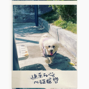 平庸(prod by Ljx Ghost)