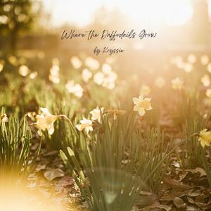 Where the Daffodils Grow