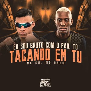 Eu Sou Bruto Com o Pau, To Tacando em Tu
