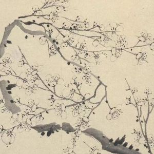 寒梅（prod by DTS）