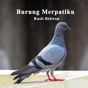 Burung Merpatiku