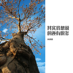 其实我想说的还有很多