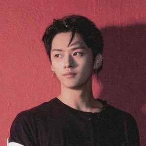 BOXER（StrayKids）