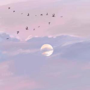 いのちの名前 (生命之名)慢版