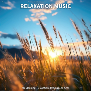 Relaxing Music for Studying